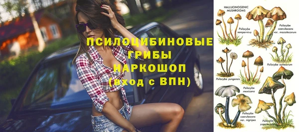 кокс Нягань