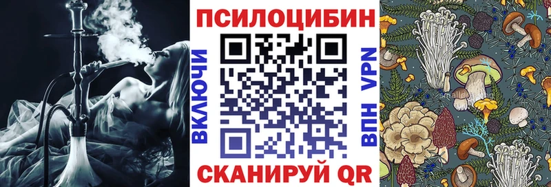 Галлюциногенные грибы Cubensis Ростов